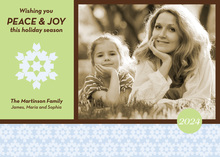 Blue Snowflake Green Brown Mix Photo Cards