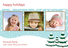 Fun Flurries White Snow Photo Cards