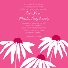 Trendy Pink Leaning Daisies Square Invitations