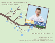 Family Tree Baby Boy Personalized Photo Cards
