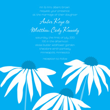 Blue Leaning Daisies Square Wedding Invitations