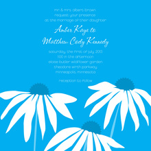 Watercolor Gerber Daisies Invitation