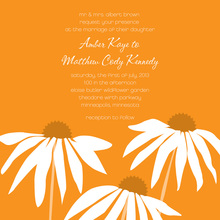 Modern Stylish Zebra Daisies Invitation