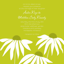 Watercolor Gerber Daisies Invitation