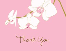 Blooming Orchid Pink Thank You Cards