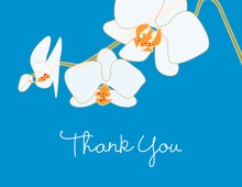 Blooming Orchid Blue Thank You Cards