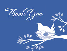 Bird on nest Blue Thank You Cards