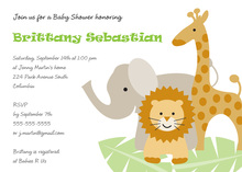 Three Popular Jungle Animals Theme Invitations