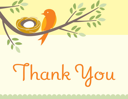 Nesting Boy Thank You Cards