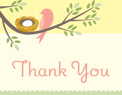 Nesting Boy Thank You Cards