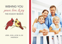 Holiday Cardinals Photo Cards