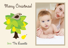 Partridge In A Pear Tree Photo Cards