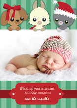Three Peeking Animals Folded Greeting Cards