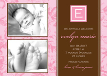 Elegant Pink Toile Baby Photo Cards