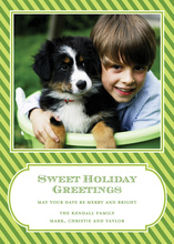 Perfect Diagonal Green Stripes Photo Cards