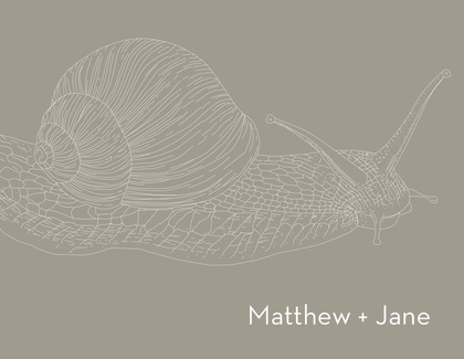 Sophisticated Snail Gray RSVP Cards