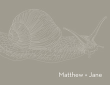 Snail Mushroom Thank You Cards