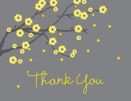 Classic White Blossoms Thank You Cards