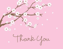 Classic White Blossoms Thank You Cards