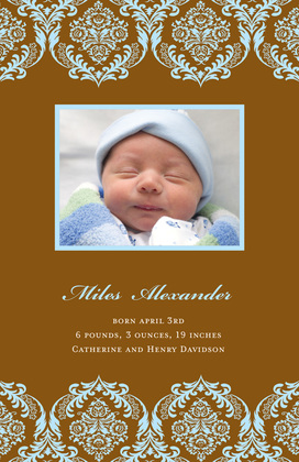 Snowy-Blue Damask Photo Birth Announcements