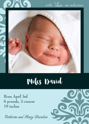 Modern Regal Flush Photo Birth Announcements