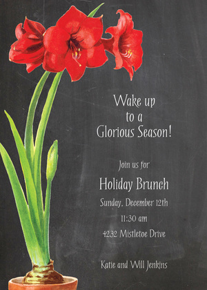 Stunning Pot Amaryllis Invitation