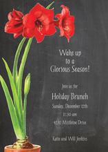 Elegant Pot Amaryllis Invitation