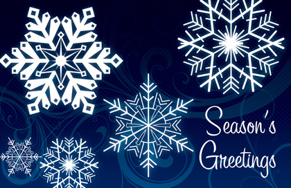 Holiday Special Snowflakes Folded Greeting Cards