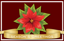 Seasonal Holiday Greetings Folded Greeting Cards