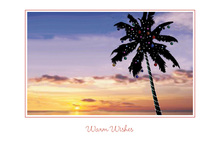 Calming Sunset Palm Tree Folded Greeting Cards