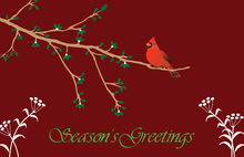 Classy Red Cardinal Folded Greeting Cards