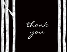 Trees At Night Time Thank You Cards