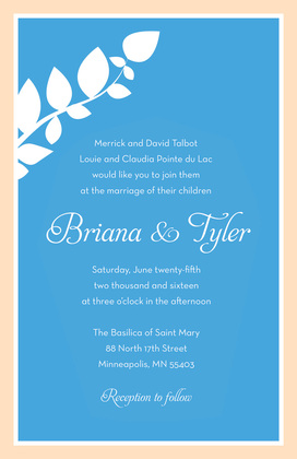 Blue Orange Crme Border RSVP Cards