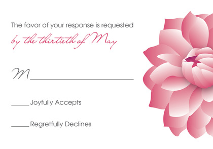 Exquisite Pink Dahlia Enclosure Cards