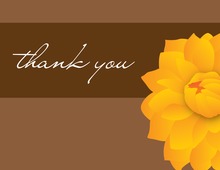 Playful Pink Damask Thank You Cards