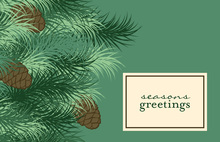 Modern Green Pine Folded Greeting Cards