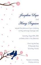 Two Loving Birds White Background Blooming Invites