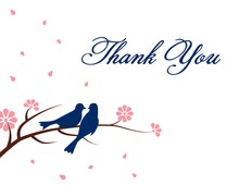 Two Loving Birds White Background Thank You Cards