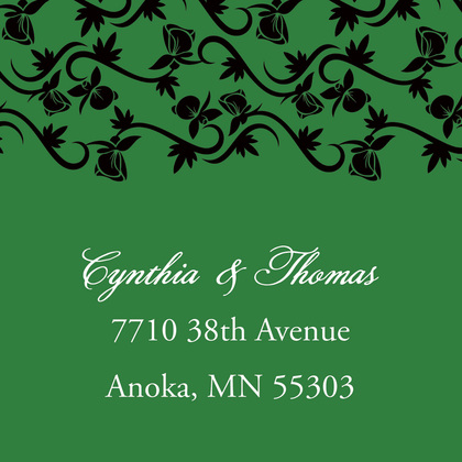 Modern Green Vines Enclosure Cards