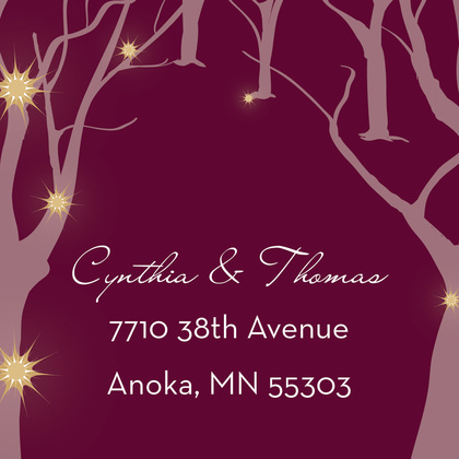 Sparkling Trees Burgandy Enclosure Cards