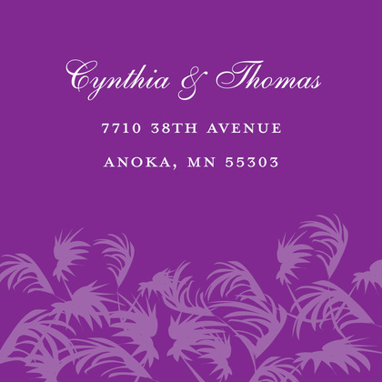 Swaying Palms Purple Enclosure Cards