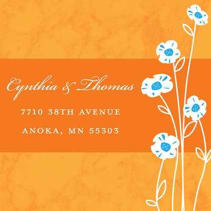 Daisies Modern Marble Orange Enclosure Cards