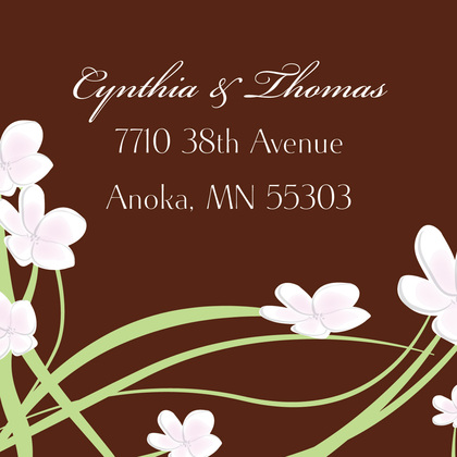 Whimsy Pink Brown Plumeria Enclosure Cards