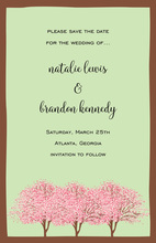 Beautiful Pink Dogwoods Trees Invitation