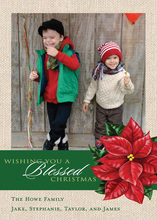 Christmas Poinsettias Photo Cards