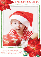 Family Holiday Colors Photo Cards