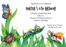 Bugs to Butterflies Invitations