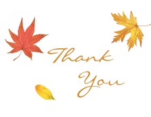 Fall Leaves Thank You Note