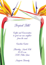 Tropic Dreams Stamp Collection Invitation