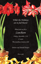 Red Amaryllis Beautiful Invitations